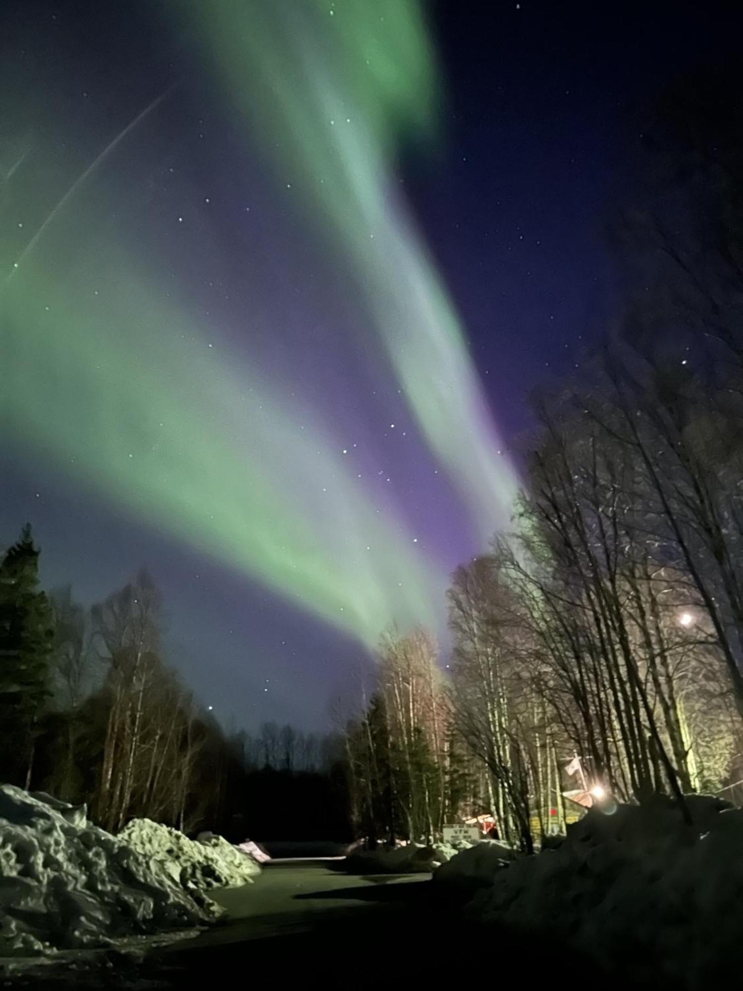 Talkeetna Villas And Tours エクステリア 写真
